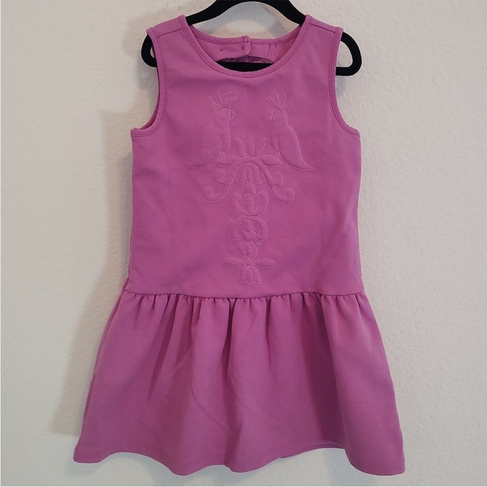 Size 12 Janie and Jack Dress Girl Embroidered Cockatiel Bird Ponte Dress.